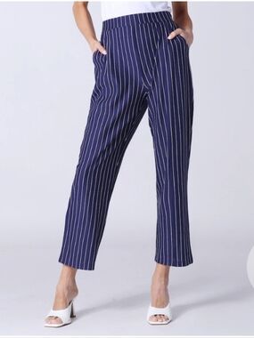 Navy Pinstripe Cropped Pull-On Pants